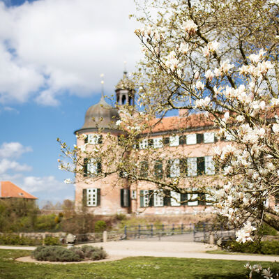Schloss Eutin, Frühling, Magnolie © A. Weise_TI Eutin